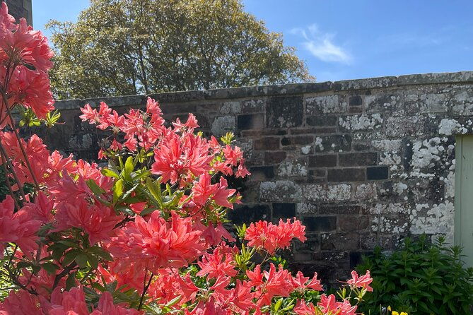 stone-story-rosslyn-chapel-melrose-abbey-private-day-trip