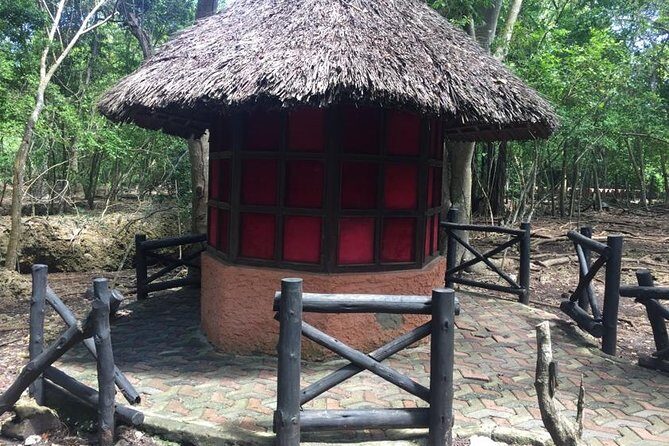 Stone Town and Prison Island Private Tour in Zanzibar - The Value for Money