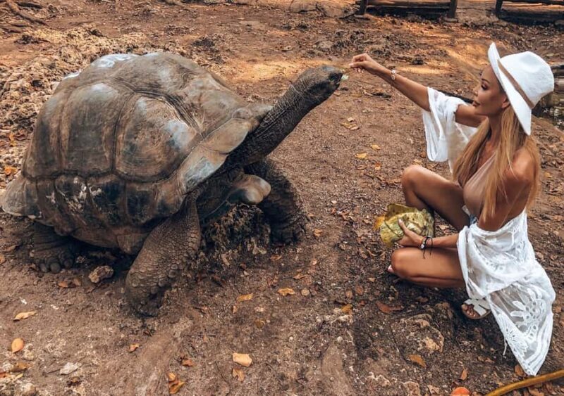 Stone town and prison Island - Practical Tips for Travelers