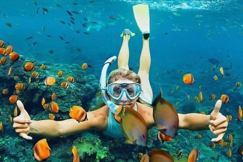 Stone Town, Blue Lagoon, Starfish & Spice Farm with Lunch - Key Points