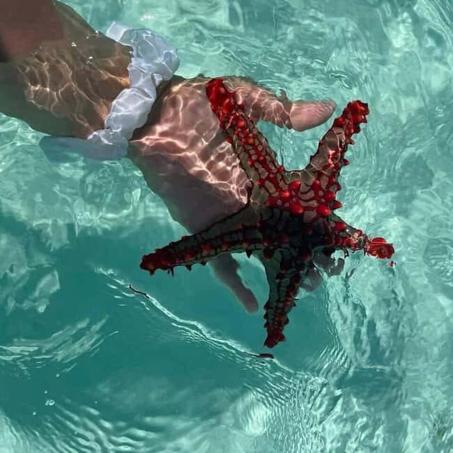 Stone Town, Blue Lagoon, Starfish & Spice Farm with Lunch - Introduction to the Tour