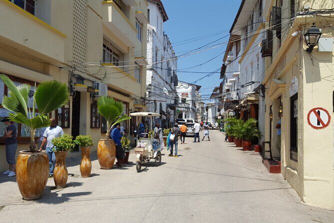 Stone Town Exciting Walking Tour & Convenient Transfer - Zanzibar - Who Will Love This Tour?