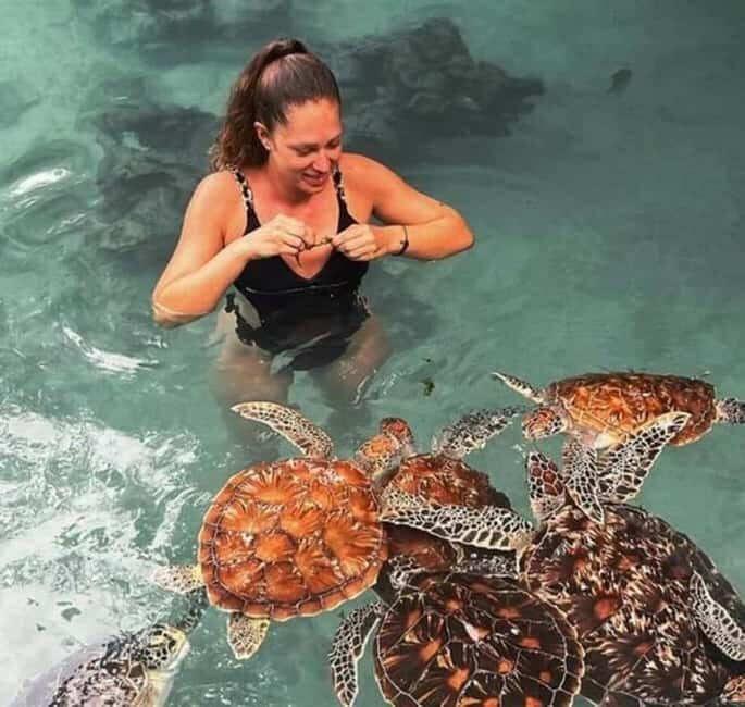 Stone Town, Jozani Forest, Sea Turtles & The Rock Restaurant - Discovering Wall-to-Wall Zanzibar in One Day