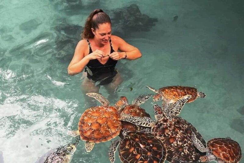 Stone Town, Jozani Forest, Sea Turtles & The Rock Restaurant - A Closer Look at the Itinerary
