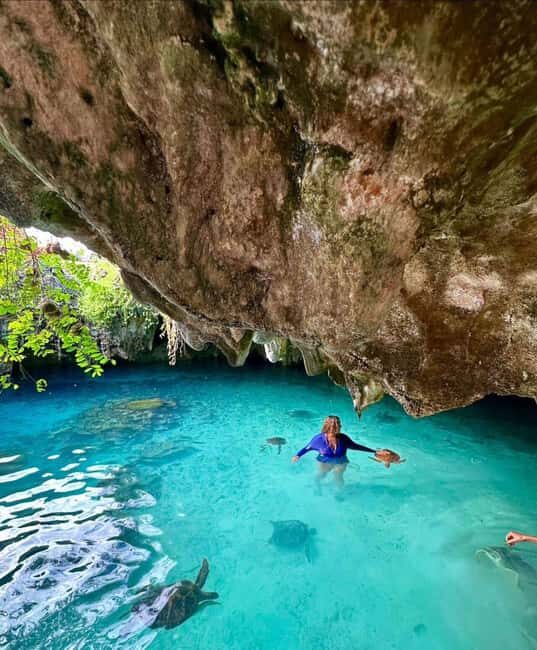 Stone Town, Jozani Forest, Sea Turtles & The Rock Restaurant - Authentic, Fun, and Well-Rounded: Who Is This Tour For?