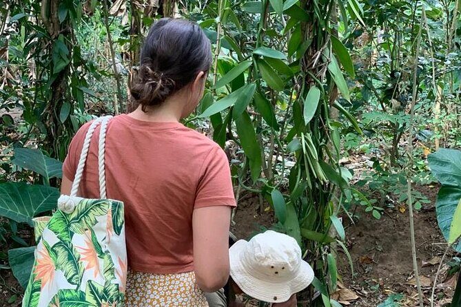 STONE TOWN, PRISON ISLAND AND SPICE FARM ( Lunch included ) - Who Is This Tour Best For?