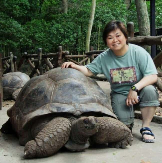 Stone Town, Prison Island, Sea Turtles & The Rock Restaurant - Final Thoughts