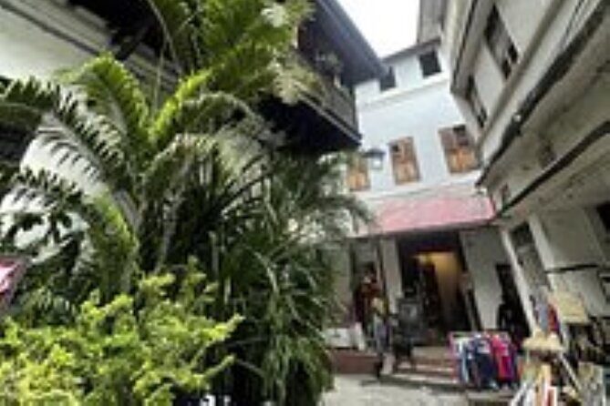 Stone Town Private Walking Tour - Darajani Bazaar (30 Minutes)  