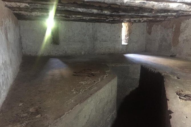Stone Town, Spice Farm and Jozani Forest Private Tour - Key Points