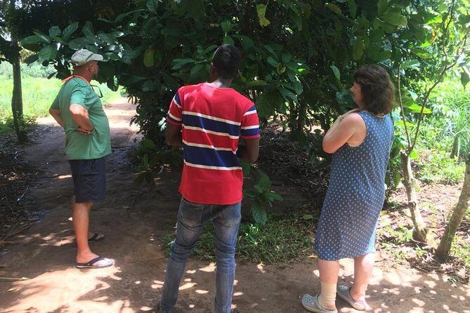 Stone Town, Spice Farm and Jozani Forest Private Tour - FAQ