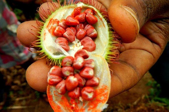 Stone Town & Spice Tour - The Journey Through Stone Town