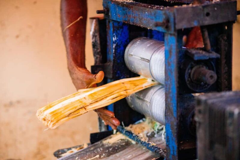 Stone Town Street Food Taste Walking Tour - Key Points