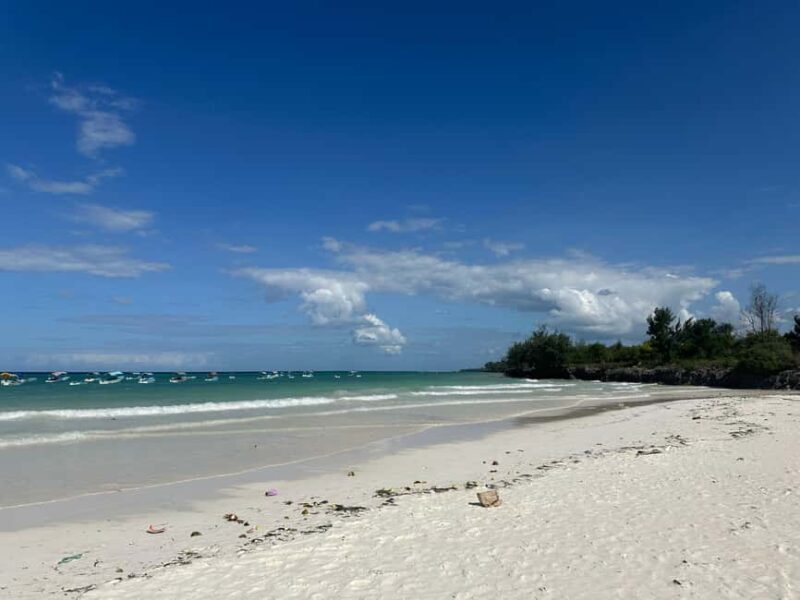 Stone Town Tour, Organic Lunch Break, Mnemba Snorkeling - Key Points