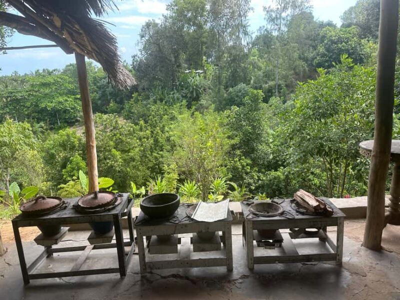 Stone Town Tour, Organic Lunch Break, Mnemba Snorkeling - Final Thoughts