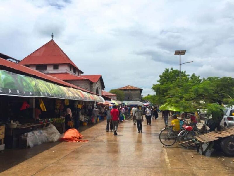 Stone Town Tour with Lunch Break - Jozani Forest and the Red Colobus Monkeys