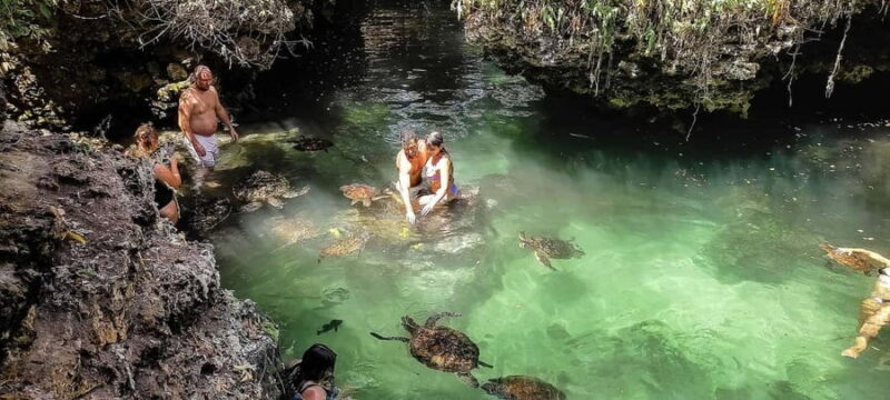Stone town,Baraka aquarium and Kendwa beach - The Experience from a Traveler’s Perspective