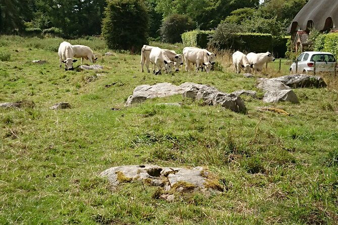 stonehenge-and-avebury-in-one-day