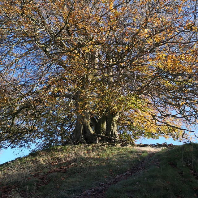 stonehenge-avebury-mystical-sites-tour-with-guide
