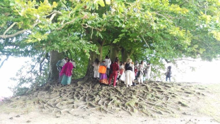 stonehenge-avebury-mystical-sites-tour-with-guide