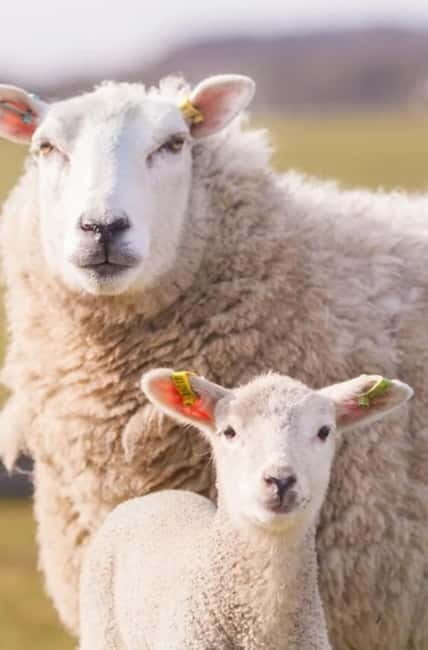 Stonehenge, Bath, Windsor, Cotswolds Villages - Key Points