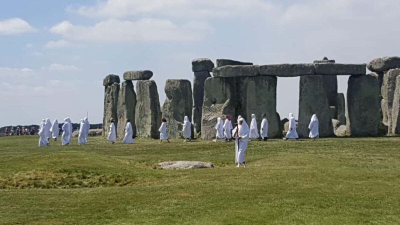 Stonehenge half day tour. - The Return Journey and the Surprising Wildlife