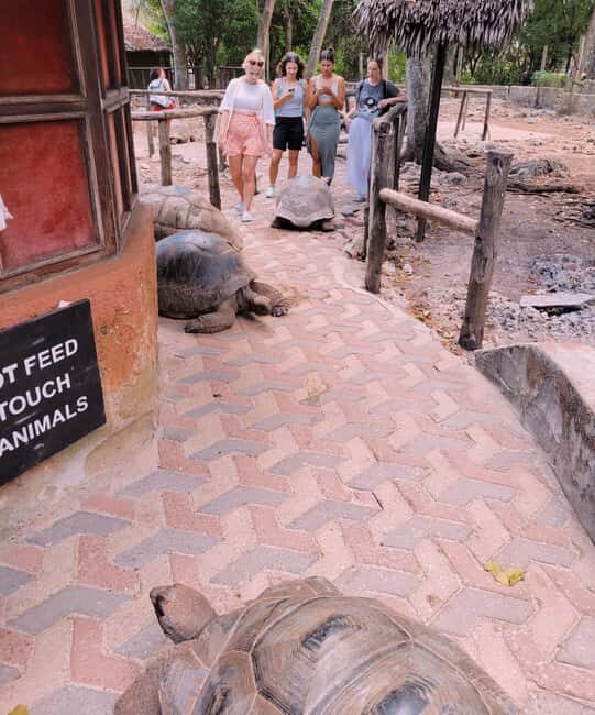 Stonetown: Prisoners iland &/or spice tour lush plantations - Practical Details