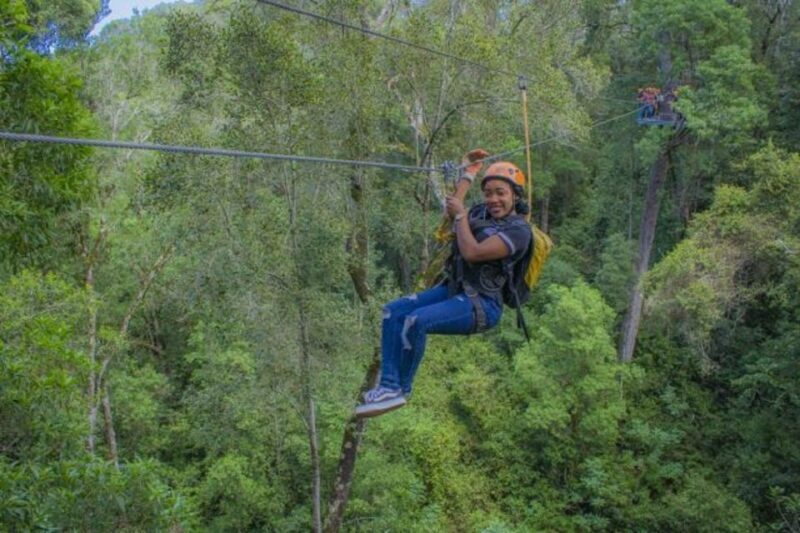 Storms River: Tsitsikamma National Park Zipline Canopy Tour - Key Points  