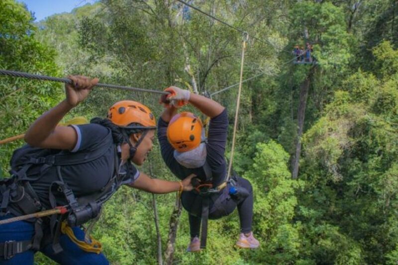 Storms River: Tsitsikamma National Park Zipline Canopy Tour - An In-Depth Look at the Tsitsikamma Zipline Experience