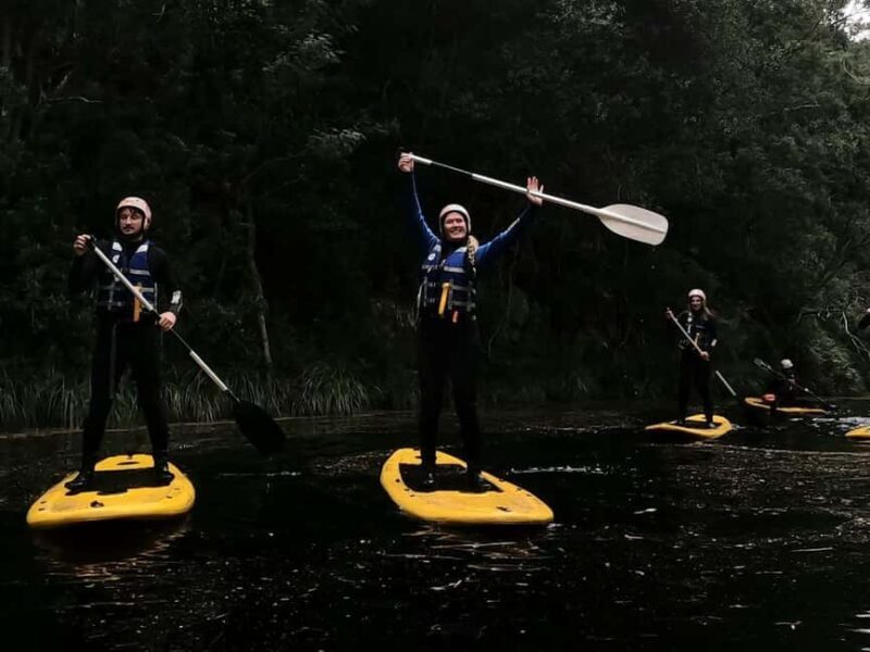 Stormsrivier: Green Route Tubing and Paddle-Boarding Tour - Who Will Love This Experience?