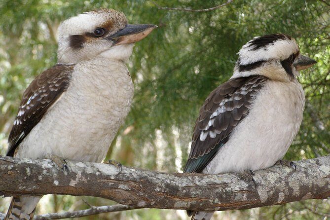 Stradbroke Island 4WD Day Trip from Brisbane - What to Expect from the Tour
