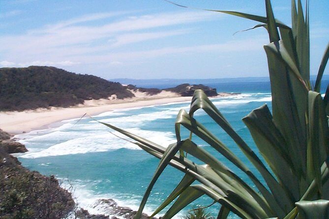 Stradbroke Island 4WD Day Trip from Brisbane - Practical Tips for Booking and Participating