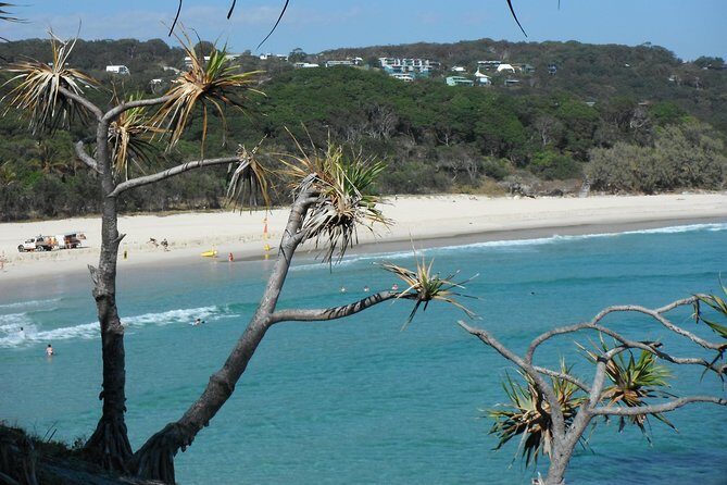 Stradbroke Island 4WD Day Trip from Brisbane - Final Thoughts: Is This Tour Worth It?