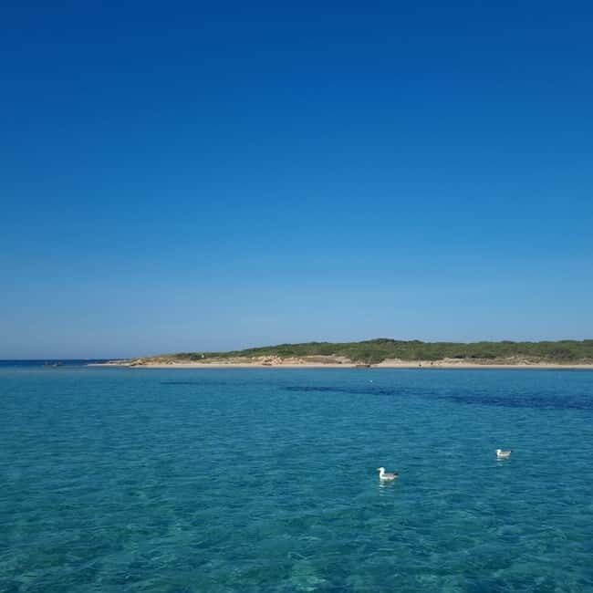 Strait of Bonifacio: Private Boat Tour with Aperitif - FAQ