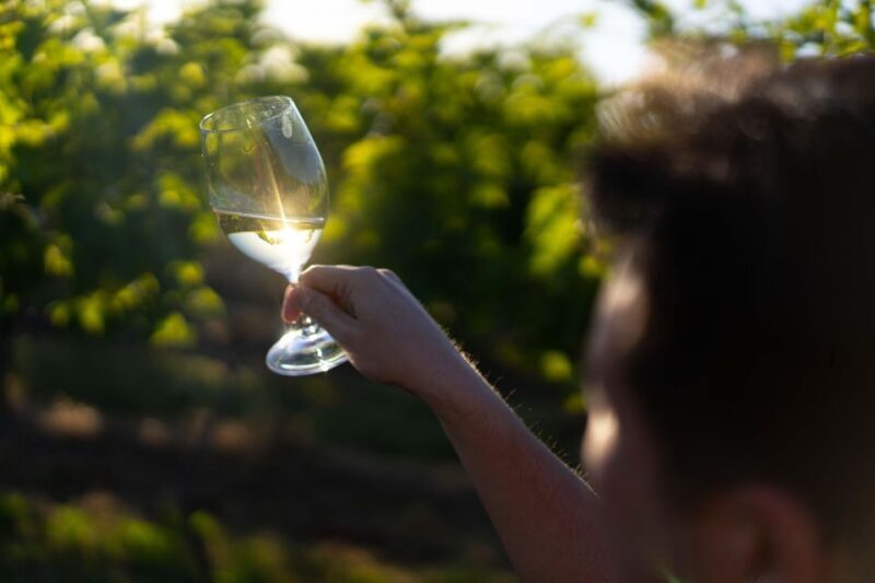 Strange Bird Flight of 3 Wine & Cheese - Introduction