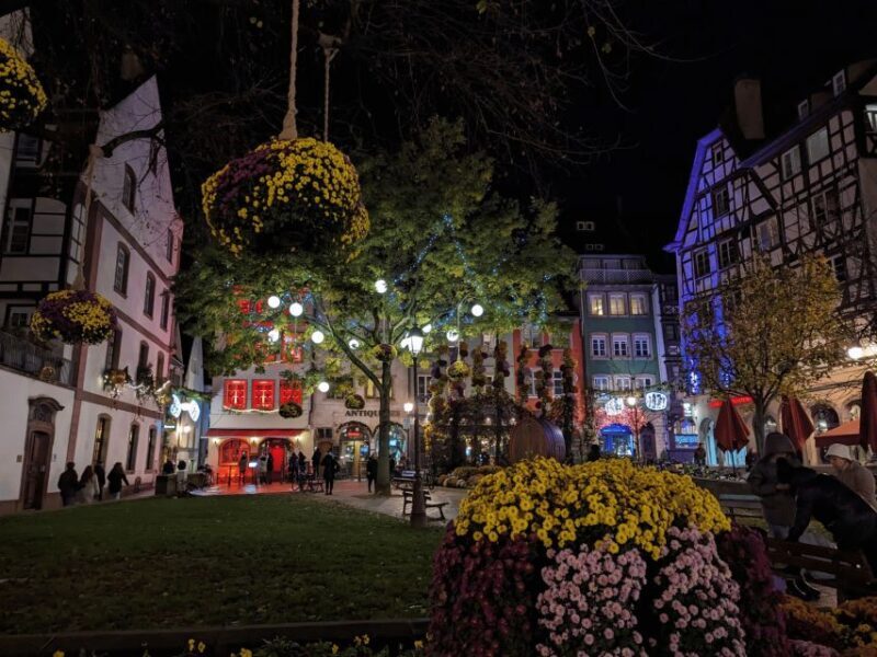 Strasbourg: Christmas Market by Night with Mulled Wine - Tasting the Flavors of Alsace