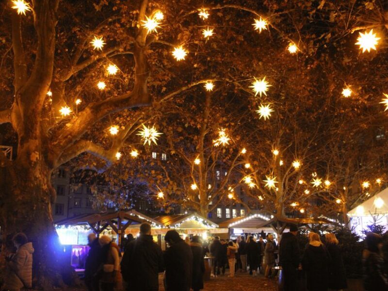 Strasbourg: Christmas Market by Night with Mulled Wine - What to Expect from the Guided Tour