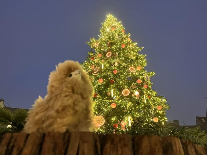 strasbourg-christmas-walking-tour-with-mulled-wine