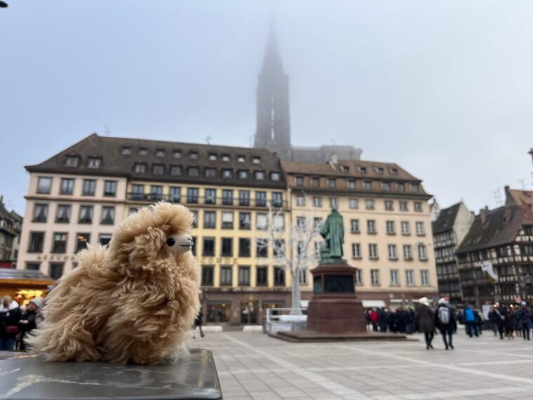 strasbourg-christmas-walking-tour-with-mulled-wine