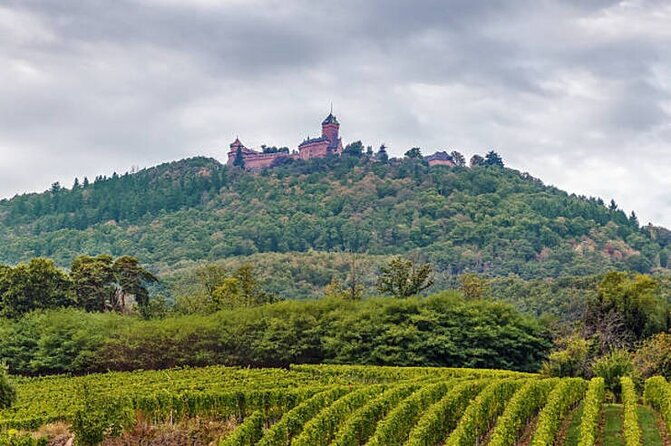 strasbourg-colmar-eguisheim-riquewhir-private-excursion
