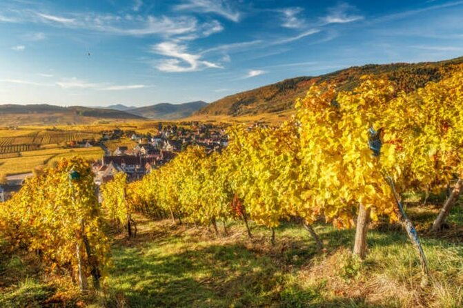 strasbourg-colmar-eguisheim-riquewhir-private-excursion