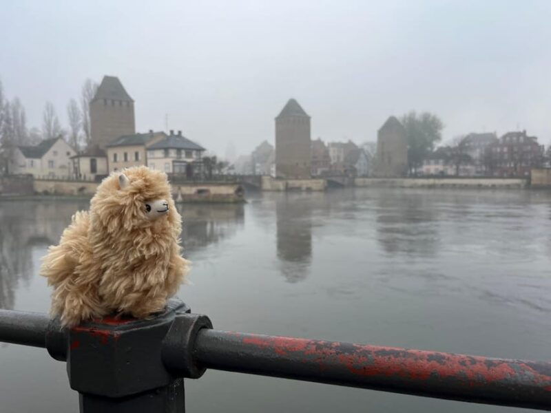 strasbourg-colmar-villages-castle-private-day-trip