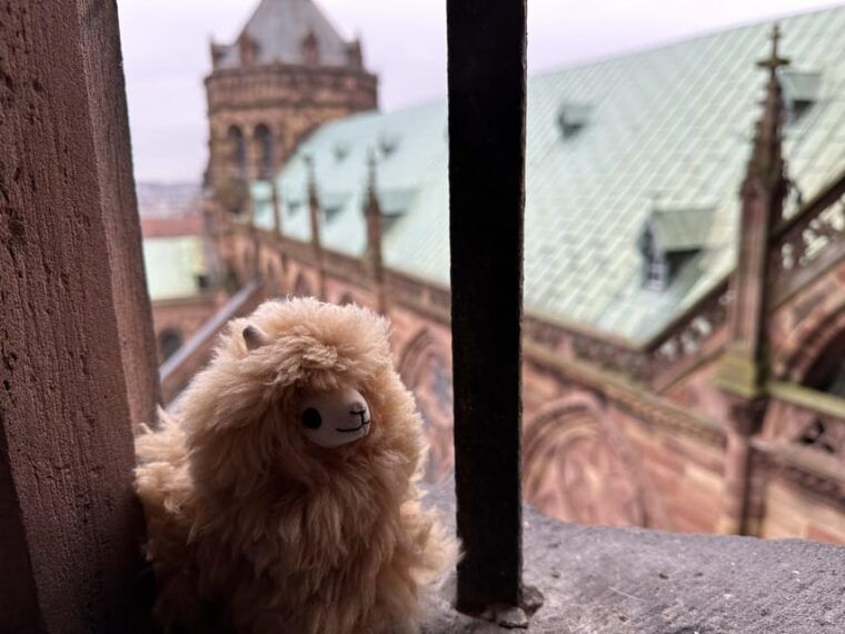 strasbourg-colmar-villages-castle-private-day-trip