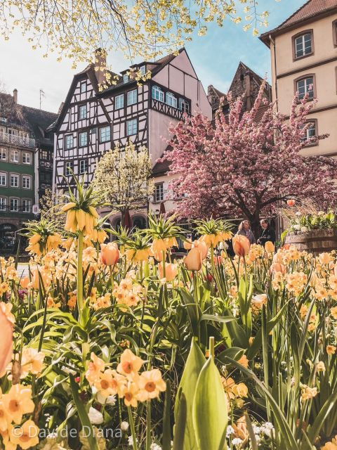 strasbourg-gastronomic-and-walking-tour-in-the-old-town