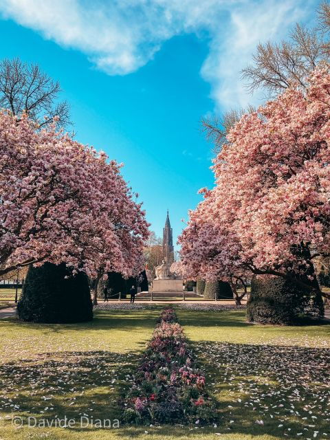 strasbourg-guided-historical-neighborhoods-walking-tour