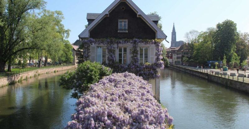 strasbourg-walking-tour-with-local-guide