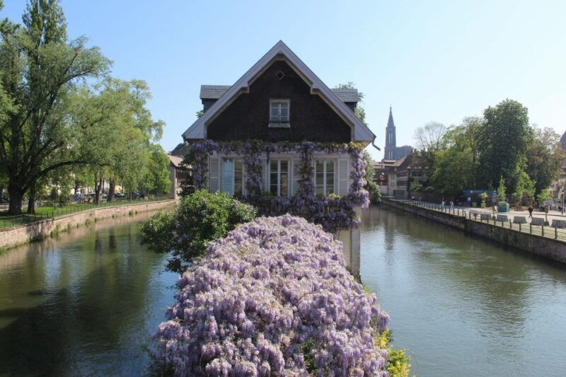 strasbourg-walking-tour-with-local-guide