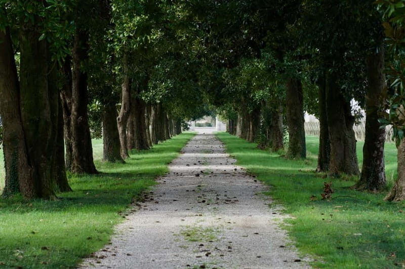 Strassoldo: Winery Tour and Tasting with the Owner - Who Should Consider This Experience?