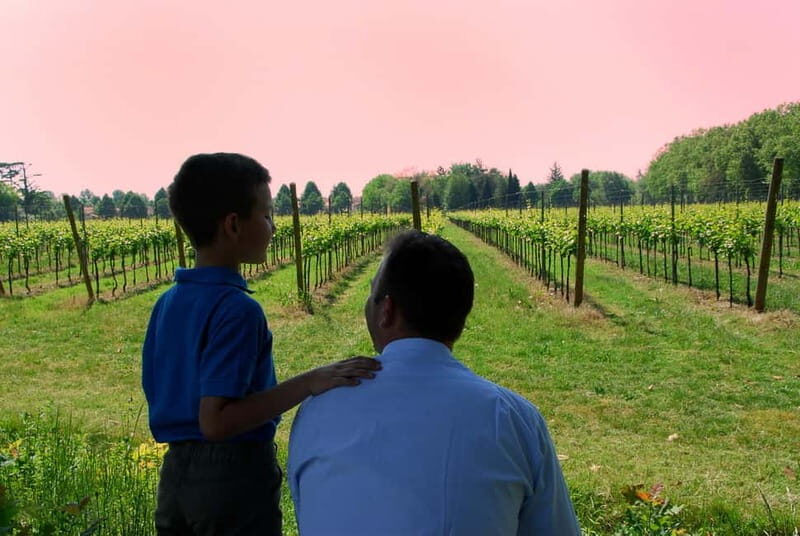 Strassoldo: Winery Tour and Tasting with the Owner - The Sum Up