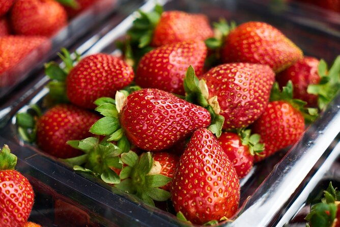 strawberry-picking-and-exploring-beautiful-city-of-tamba-sasayama
