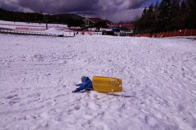 strawberry-picking-and-snow-experience-at-mt-fuji-ski-resort-for-vip